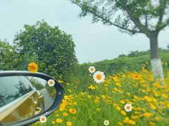 -梁鸿国家湿地公园