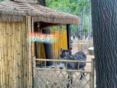 -1982农场