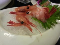 -鲤·鮨KOISUSHI