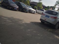 -广东惠东海龟国家级自然保护区