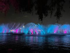 -老板恋上鱼(恒隆广场店)