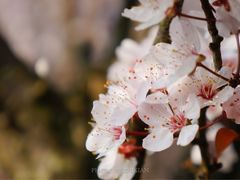-贵阳市花溪国家城市湿地公园