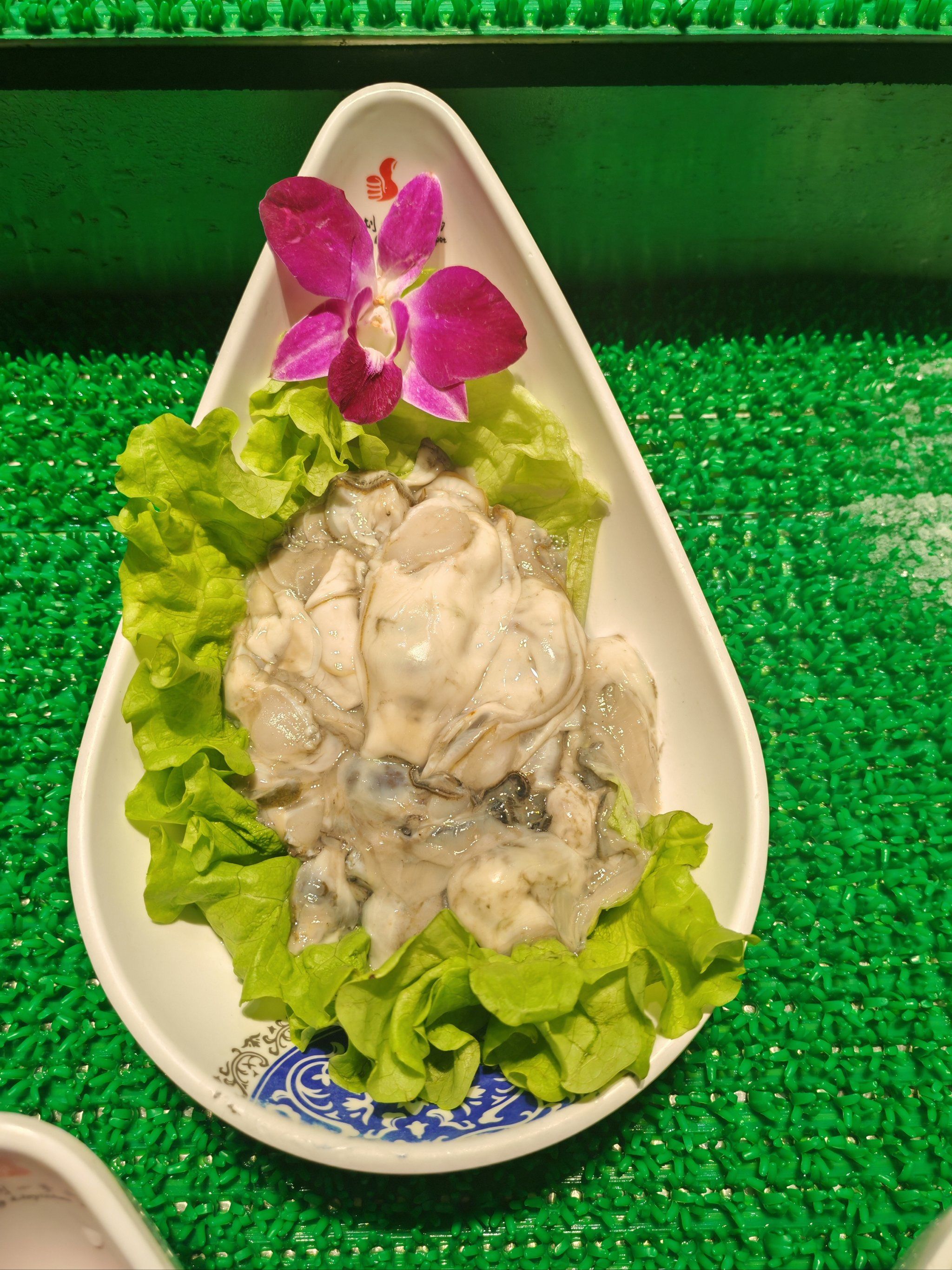 毛蚶百科