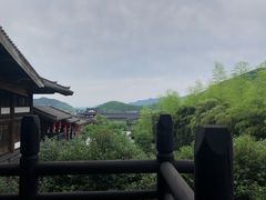 -大唐贡茶院