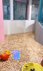 -多多淘儿童体验中心(重庆来福士店)