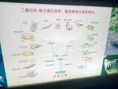 -上海昆虫博物馆