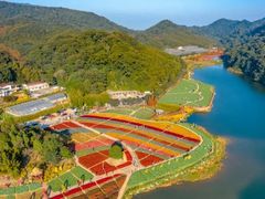 -广州市石门国家森林公园