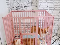 -白夜2D咖啡馆