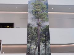 -中国湿地博物馆