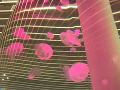 -乐汇城