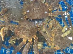-舟山海鲜·江浙菜(银沙路店)