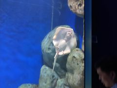 -福州罗源湾海洋世界旅游区