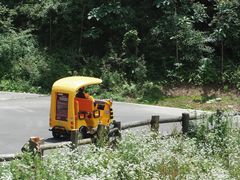 -武陵山森林公园