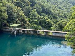 -庐山风景区花径公园