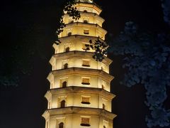 -开元寺塔