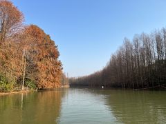 -上海海湾国家森林公园