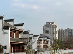 -洋湖国家湿地公园