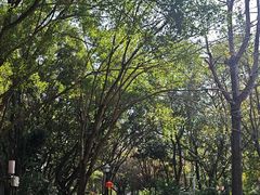 -长安公园