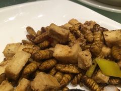 白云轩-白云宾馆·白云宴餐厅