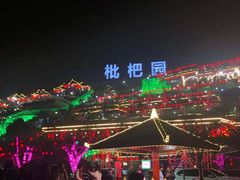 -枇杷园食为鲜火锅(南山店)
