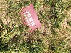 -汉长安城未央宫国家考古遗址公园