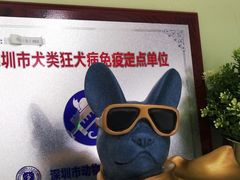 -瑞鹏宠物医院·骨科·猫科·内科(第一中心)