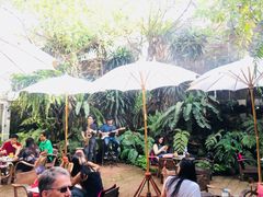 -Fern Forest Cafe