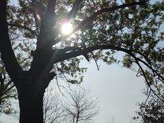 -云龙湖旅游景区