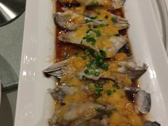 -千灯盛汇·头牌粤菜(致越优城店)