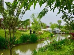 -鹅湖玫瑰文化园