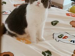 -仁华宠物医院(青羊店)