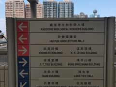 -香港大学