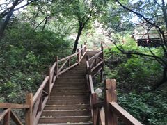 -大岭沟猕猴桃谷风景区
