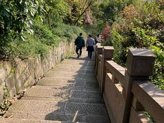 -杭州半山国家森林公园