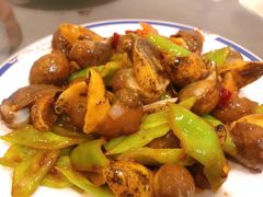 酱爆牛牛-长岛渔家乐仙居阁