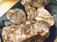 桑拿蠔-天宝食坊·啫啫煲大排档(西华路店)