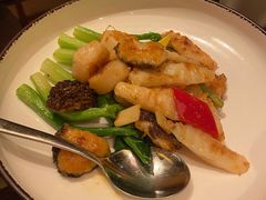 -万豪中餐厅·粤菜·北京粤财JW万豪酒店