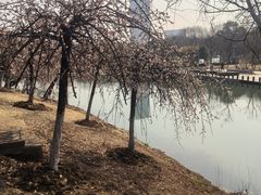 -白塘生态植物园