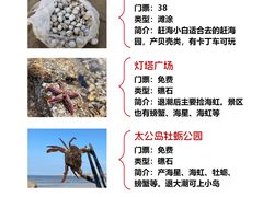 -巧克力渔家.小船海鲜家常菜(万平口店)