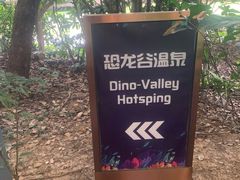 -常州环球恐龙城维景国际大酒店