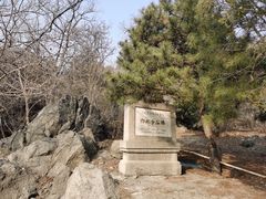 -白水寺森林公园