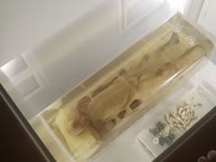 -荆州博物馆