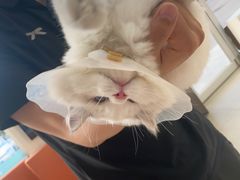-美迦爱-牙专科·兔科·骨科诊疗中心(北苑店)