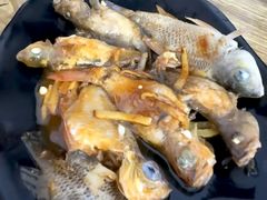 -小猫钓鱼海钓俱乐部(椰梦长廊店)