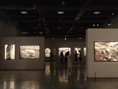 -府河摄影公园