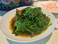 蚌肉金花菜-金典银峰老鹅馆·昆山菜(亭林公园店)