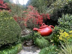 -十八棵（老龙井）御茶园(老龙井店)