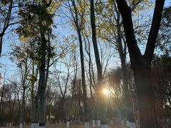 -大兴滨河森林公园