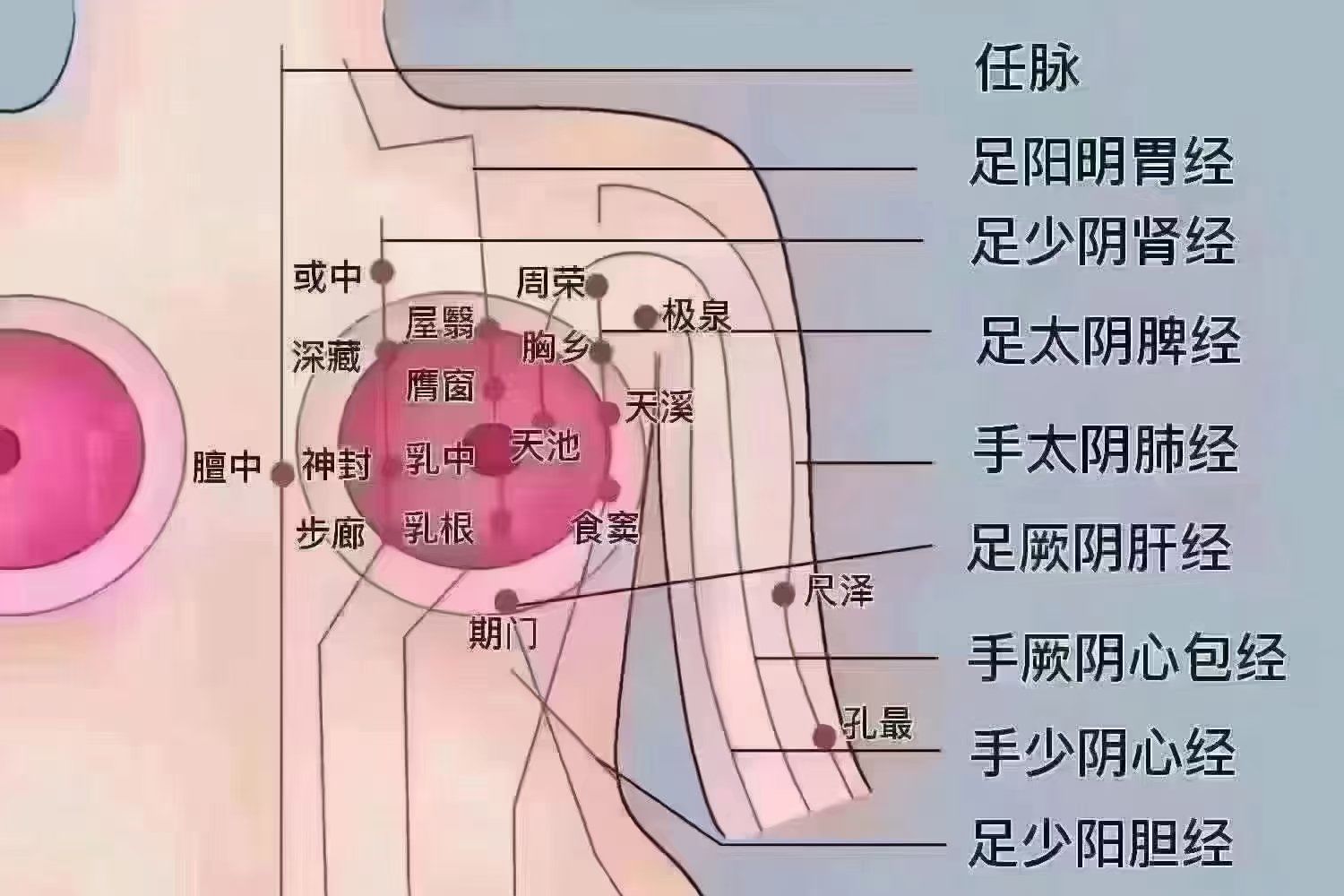 乳房保养