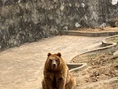-无锡动物园·太湖欢乐园